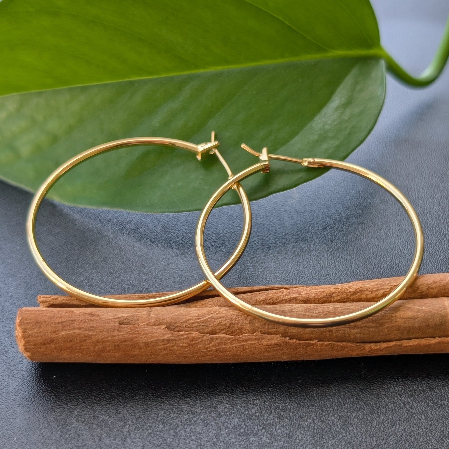 Classic Gold Hoop Earrings