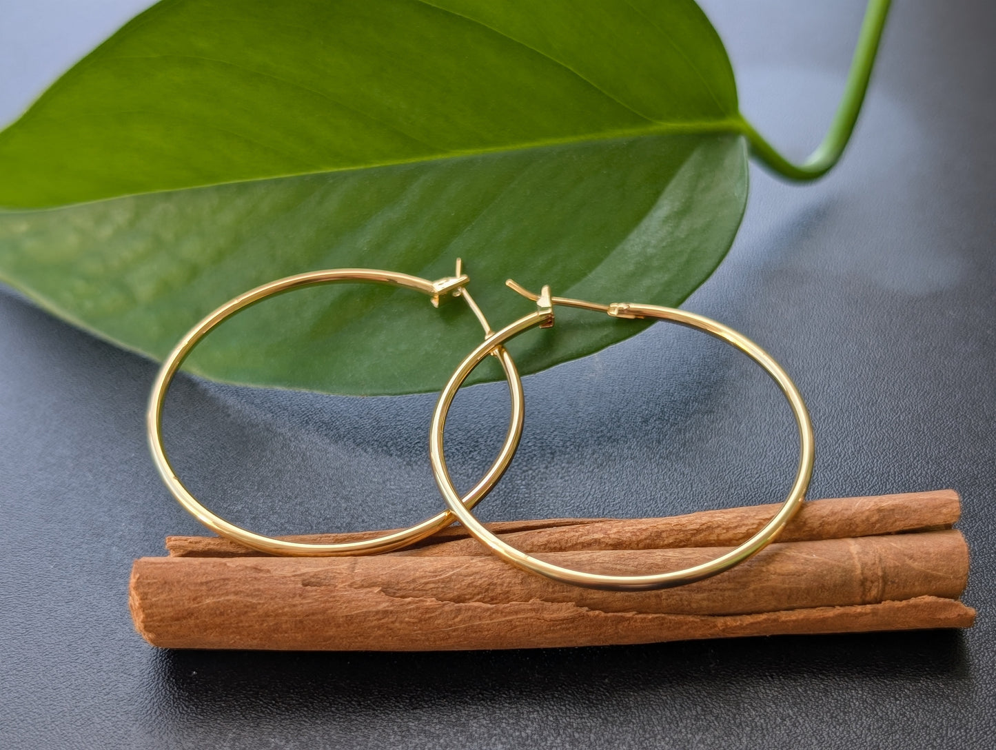 Classic Gold Hoop Earrings