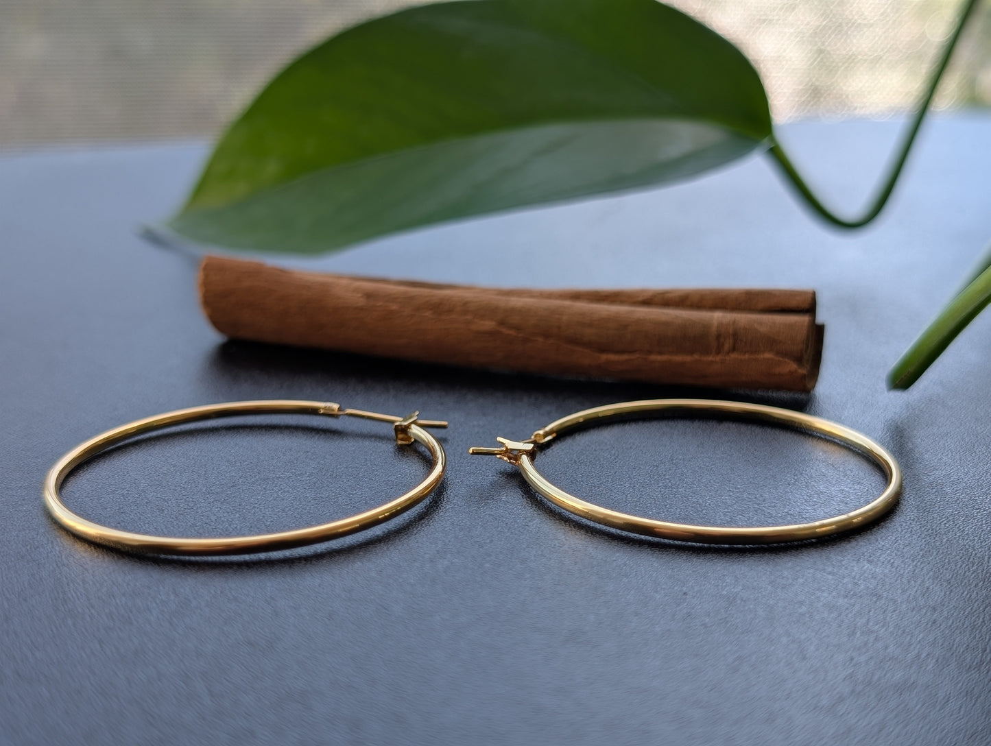 Classic Gold Hoop Earrings