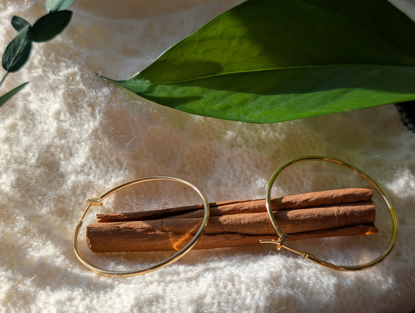 Classic Gold Hoop Earrings