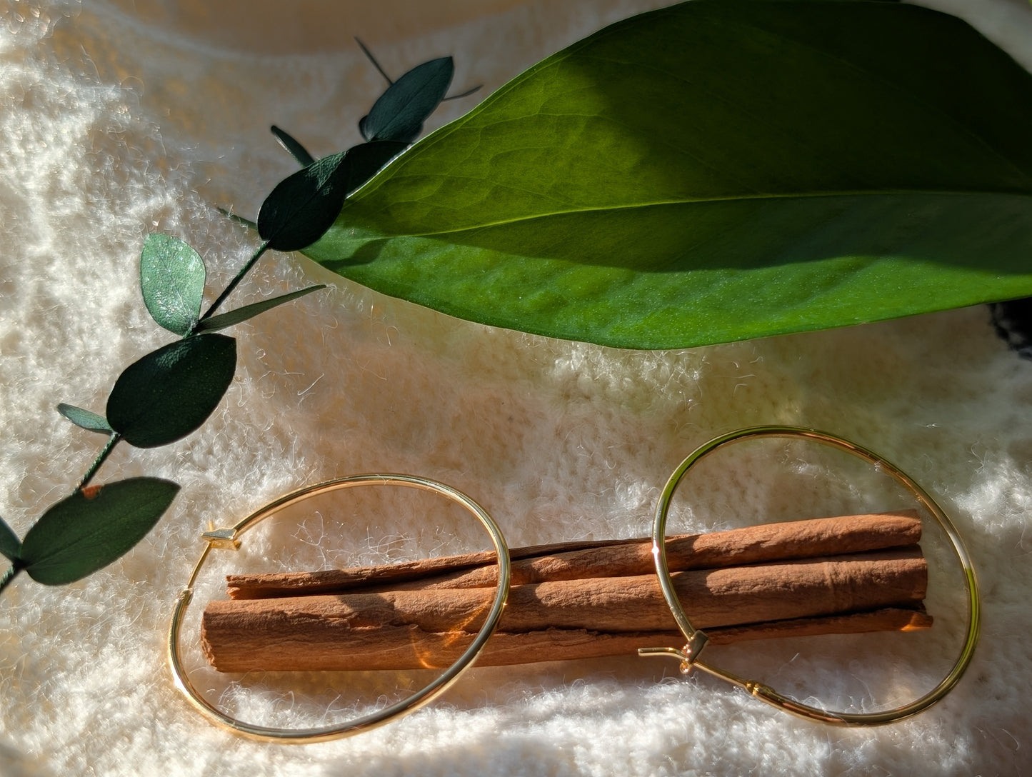 Classic Gold Hoop Earrings