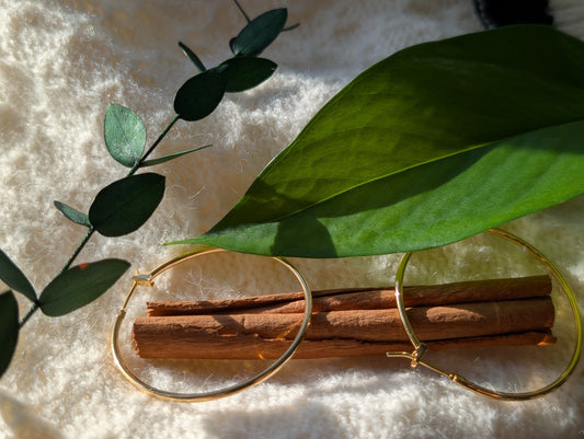 Classic Gold Hoop Earrings